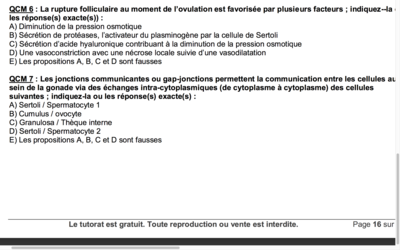 Capture d’écran 2017-10-28 à 10.47.11.png