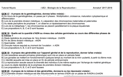 Capture d’écran 2017-10-28 à 07.50.20.png