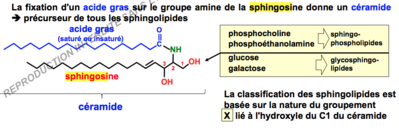 Capture d’écran 2017-10-28 à 13.51.33.png