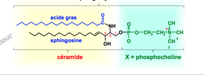Capture d’écran 2017-10-28 à 13.56.05.png