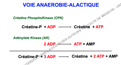 Capture d’écran 2017-10-28 à 13.59.08.png