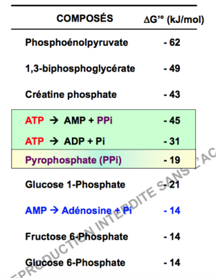 Capture d’écran 2017-10-28 à 13.59.18.png