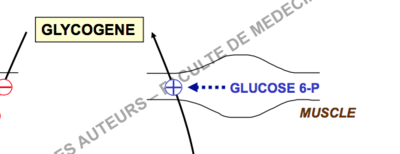 Capture d’écran 2017-10-28 à 14.13.04.png