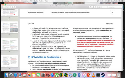 Capture d’écran 2017-10-28 à 16.36.55.png