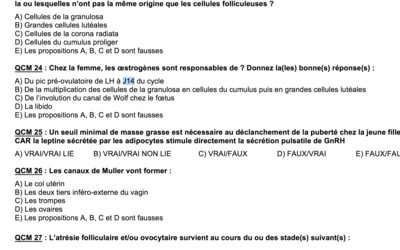 Capture d’écran 2017-10-29 à 08.10.00.png