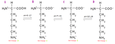 Capture d’écran 2017-10-29 à 08.32.58.png