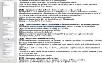 Capture d’écran 2017-10-29 à 11.15.09.png