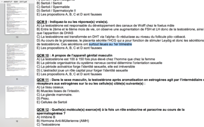 Capture d’écran 2017-10-29 à 11.14.44.png