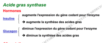 Capture d’écran 2017-10-30 à 11.17.00.png