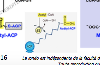 Capture d’écran 2017-10-30 à 11.20.51.png