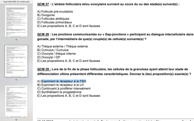 Capture d’écran 2017-11-01 à 14.21.30.png