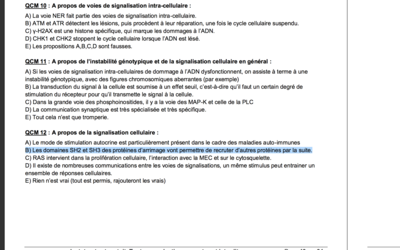 Capture d’écran 2017-11-02 à 10.02.11.png