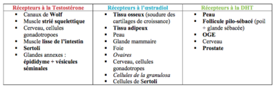 Capture d’écran 2017-11-03 à 19.36.14.png