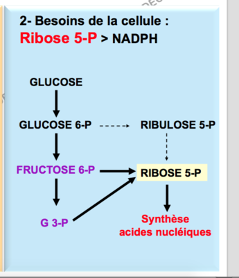 Capture d’écran 2017-11-04 à 13.41.21.png