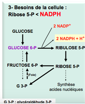 Capture d’écran 2017-11-04 à 13.44.11.png