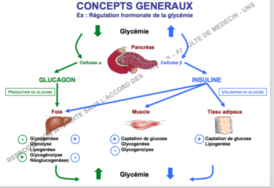 Capture d’écran 2017-11-04 à 14.04.39.png