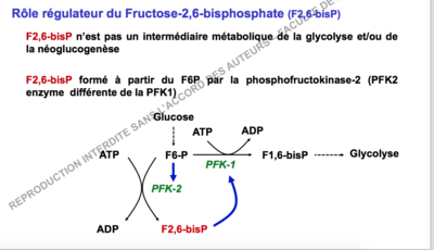 Capture d’écran 2017-11-04 à 18.35.53.png