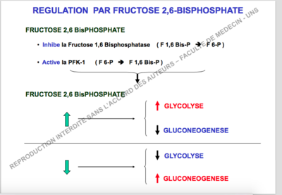 Capture d’écran 2017-11-04 à 18.36.28.png
