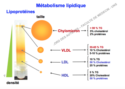 Capture d’écran 2017-11-04 à 18.38.08.png