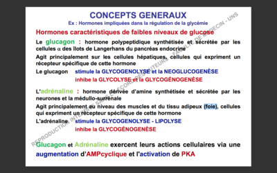 Capture d’écran 2017-11-05 à 06.58.44.png