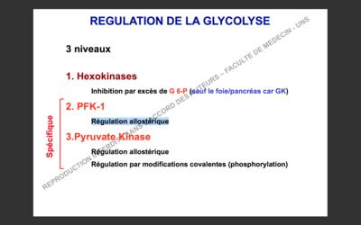 Capture d’écran 2017-11-05 à 11.09.49.png