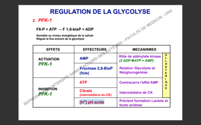 Capture d’écran 2017-11-05 à 11.09.41.png