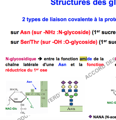 Capture d’écran 2017-11-05 à 14.38.58.png