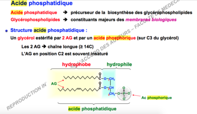 Capture d’écran 2017-11-05 à 14.43.44.png