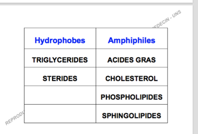 Capture d’écran 2017-11-05 à 14.47.44.png
