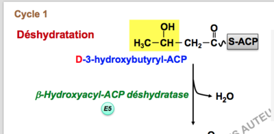 Capture d’écran 2017-11-05 à 15.14.02.png