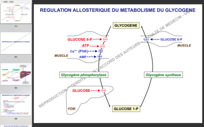 Capture d’écran 2017-11-05 à 18.22.23.png