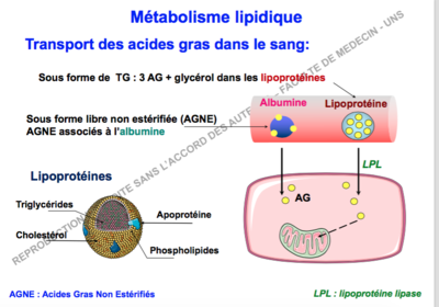 Capture d’écran 2017-11-05 à 20.30.38.png