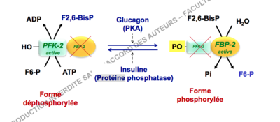Capture d’écran 2017-11-05 à 20.40.16.png