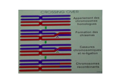 Capture d’écran 2017-11-06 à 20.33.19.png