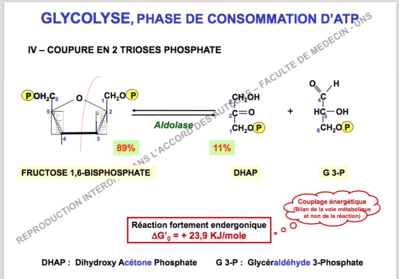 Capture d’écran 2017-11-07 à 08.24.42.png