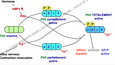 Capture d’écran 2017-11-07 à 21.16.44.png