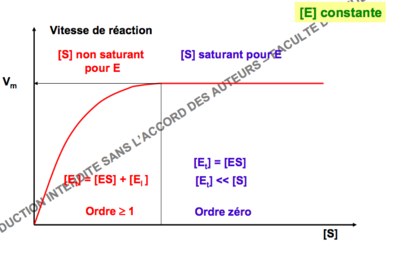 Capture d’écran 2017-11-08 à 09.18.31.png