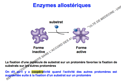 Capture d’écran 2017-11-08 à 23.21.58.png