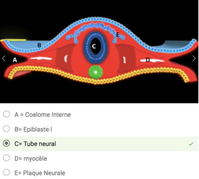 Capture d’écran 2017-11-10 à 09.24.36.png