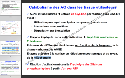 Capture d’écran 2017-11-10 à 09.51.54.png