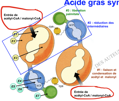 Capture d’écran 2017-11-10 à 21.12.01.png