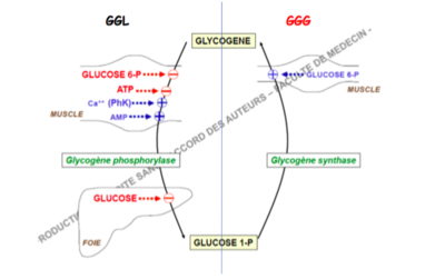 Capture d’écran 2017-11-11 à 22.41.38.png