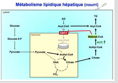 Capture d’écran 2017-11-12 à 12.32.44.png