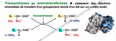Capture d’écran 2017-11-12 à 13.02.09.png