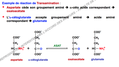 Capture d’écran 2017-11-12 à 13.24.36.png