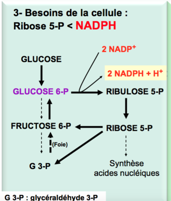 Capture d’écran 2017-11-12 à 13.26.45.png
