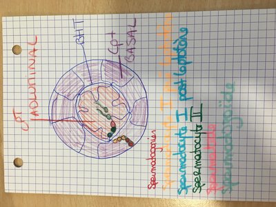 2017-11-13 14.57.28.jpg