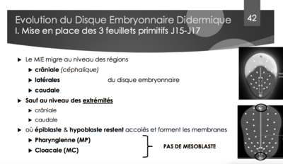 Capture d'écran 2017-11-14 20.48.09.png