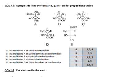 Capture d’écran 2017-11-15 à 08.53.31.png