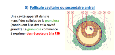 Capture d’écran 2017-11-15 à 11.34.13.png